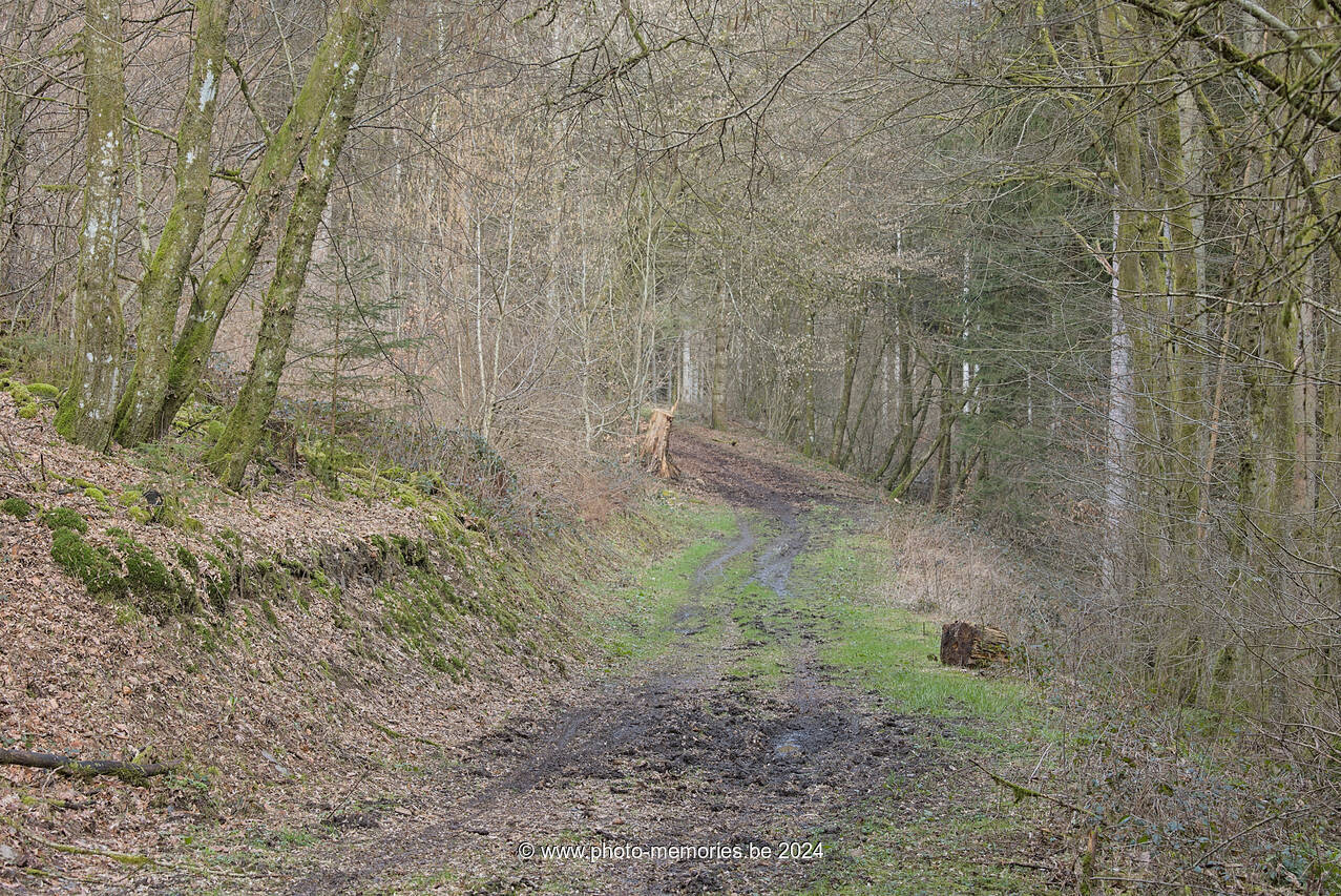 2024-03-03-0058.jpg