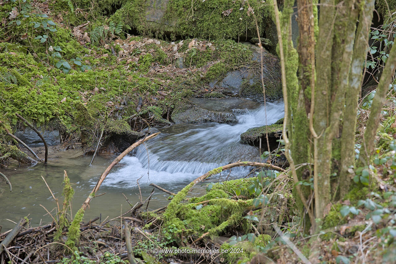 2024-03-03-0059.jpg
