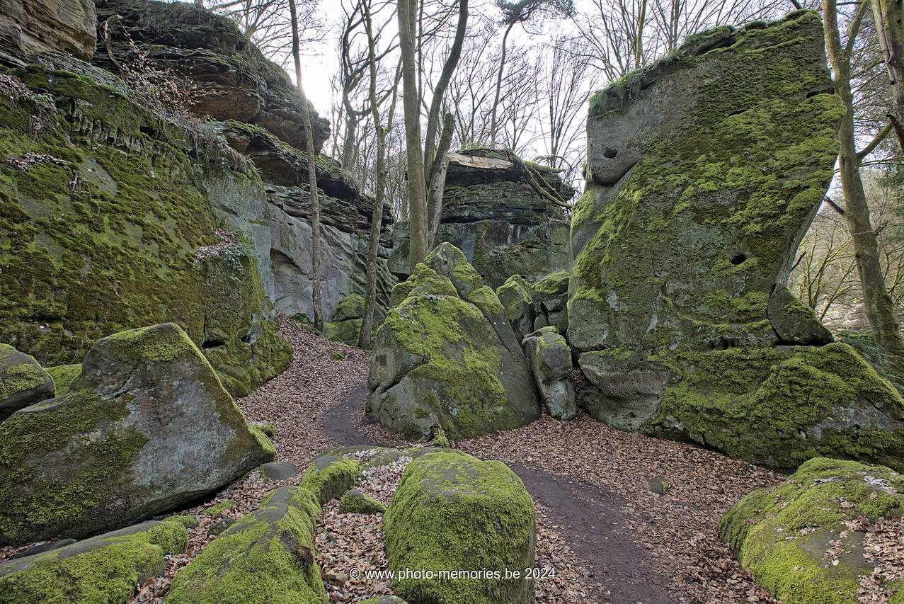 2024-03-16-0058.jpg