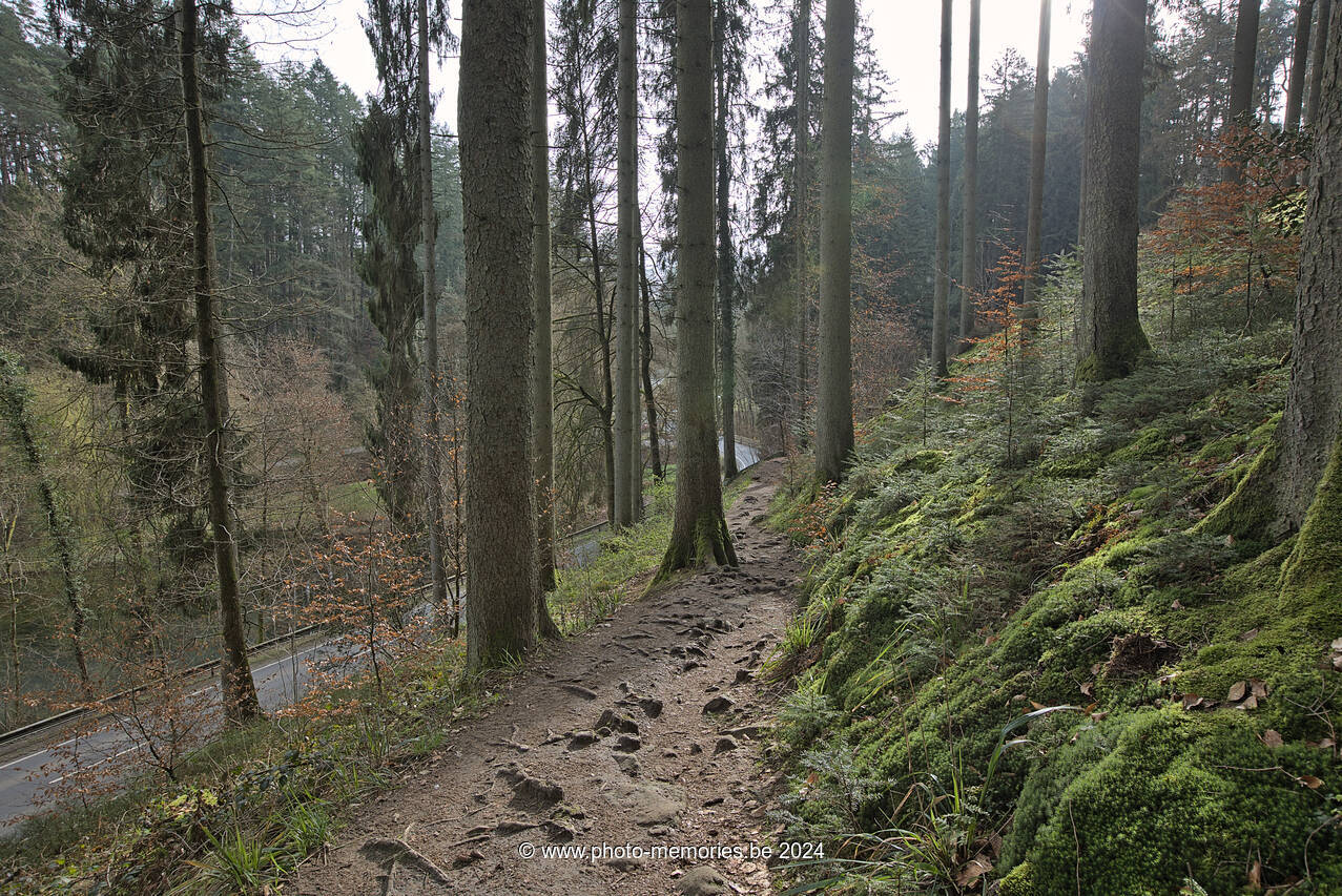 2024-03-17-0064.jpg
