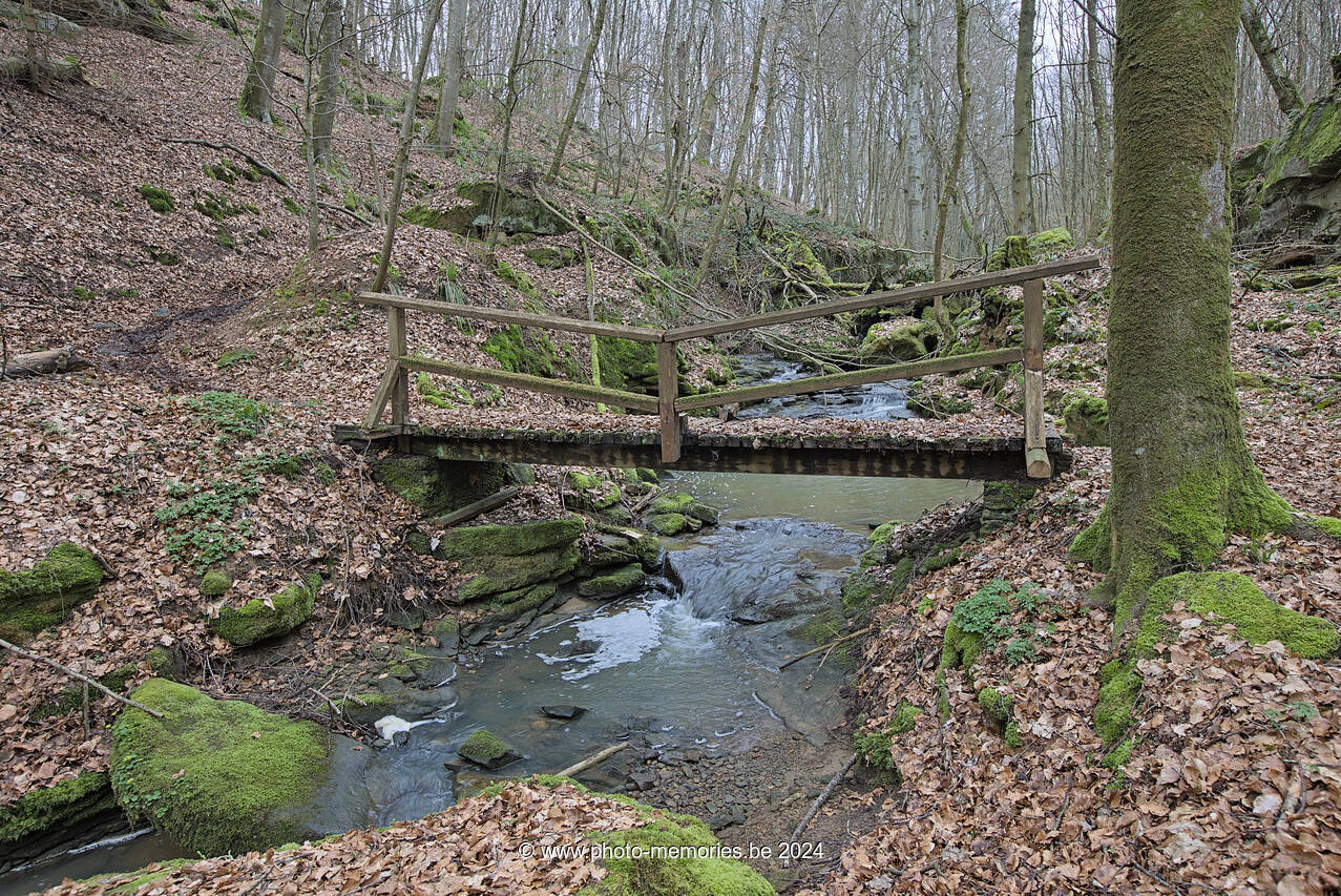 2024-03-17-0082.jpg