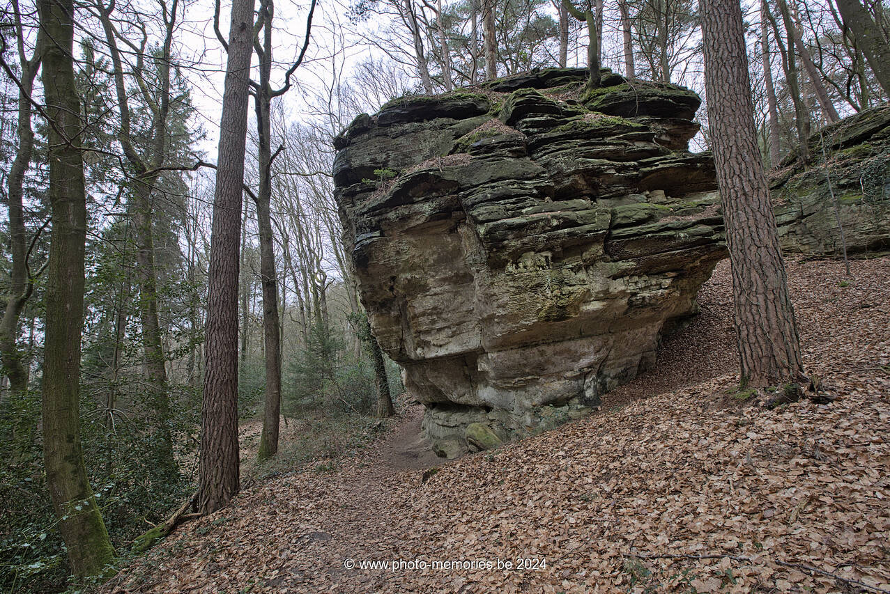 2024-03-17-0084.jpg