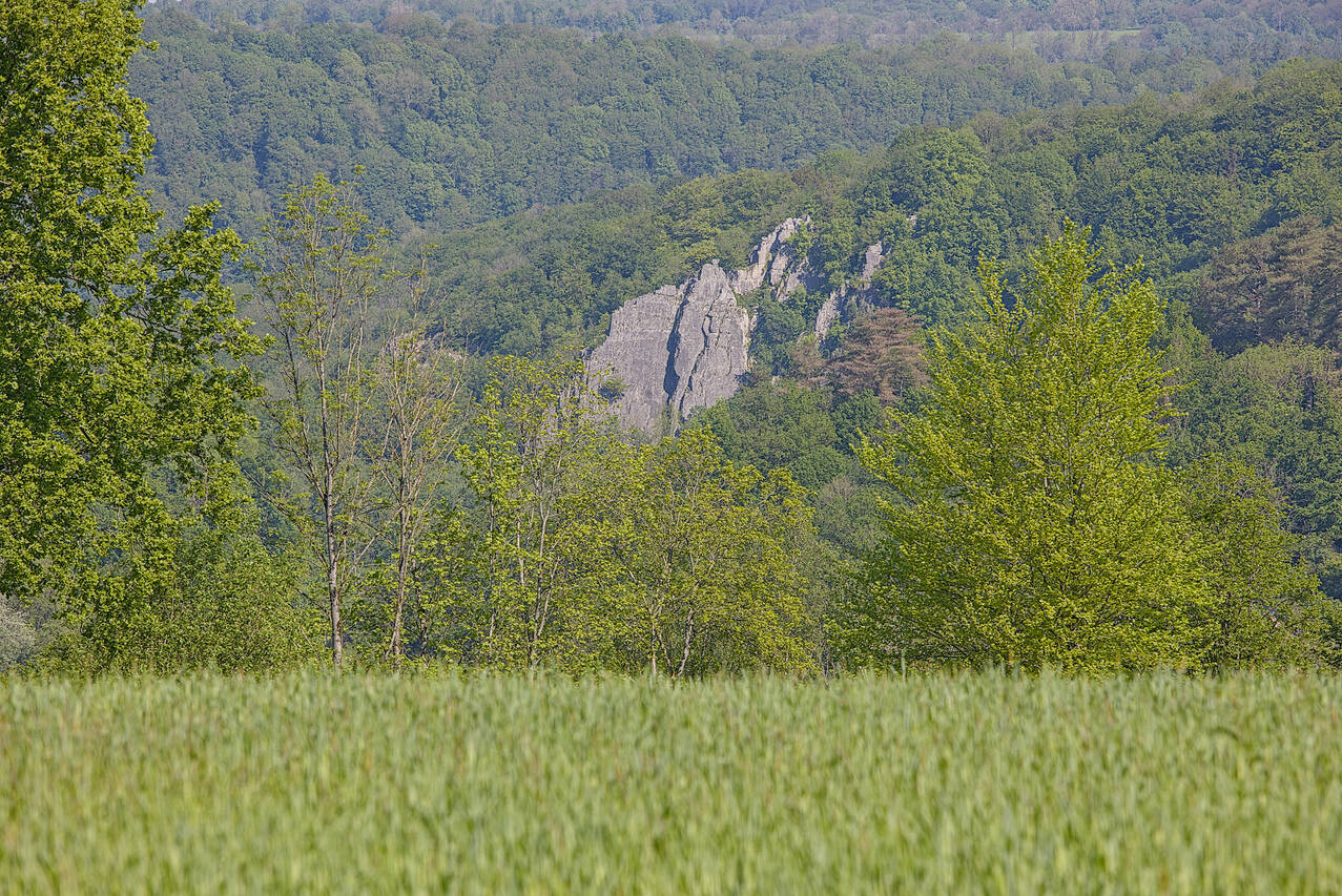 2024-05-11-0012.jpg