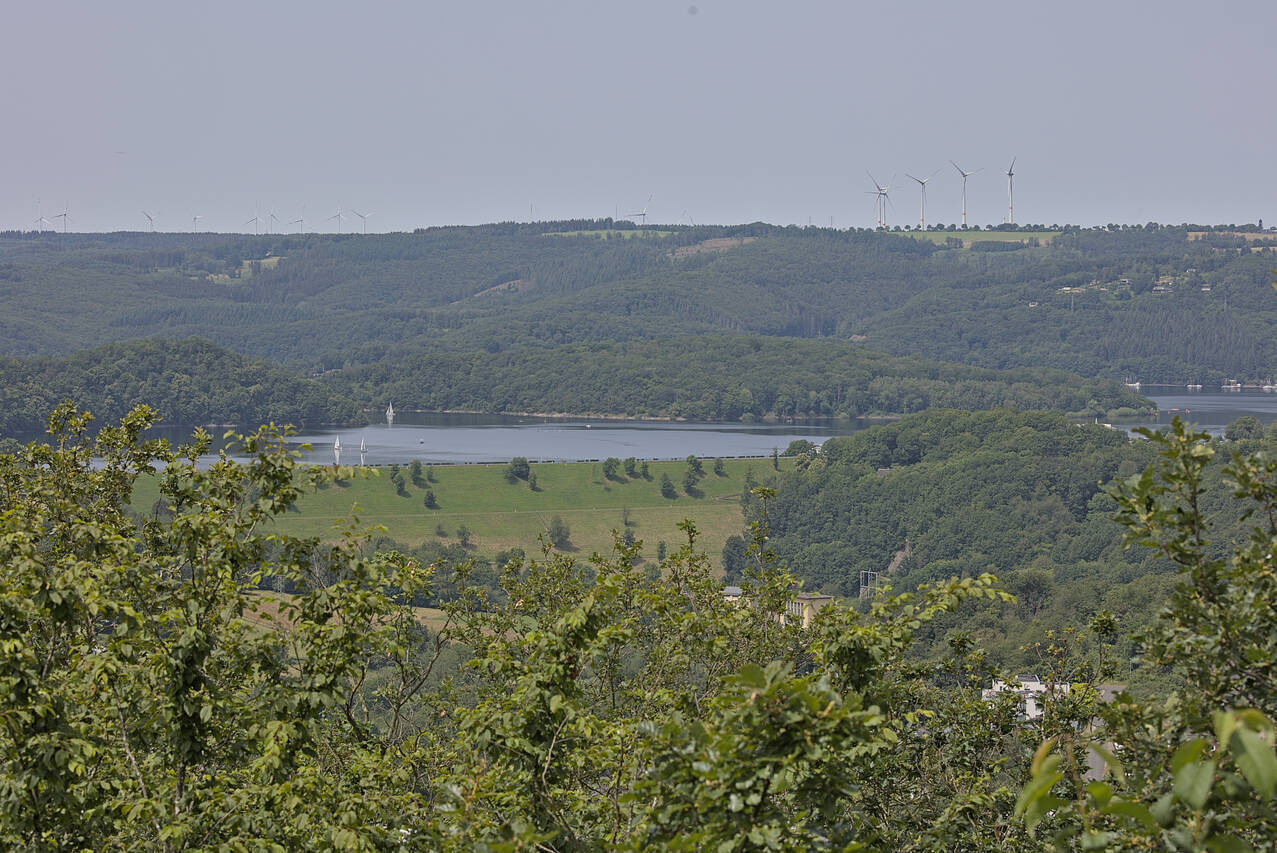 2024-06-29-0023.jpg