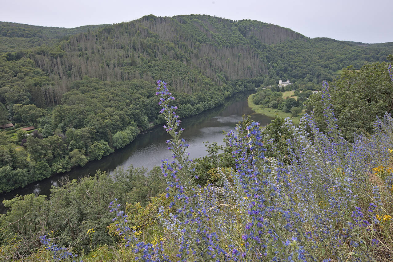 2024-06-29-0025.jpg