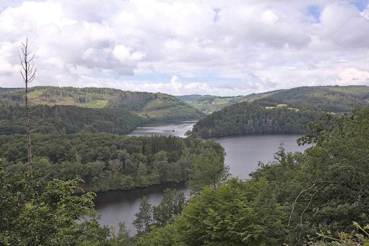2024-07-01-0053.jpg