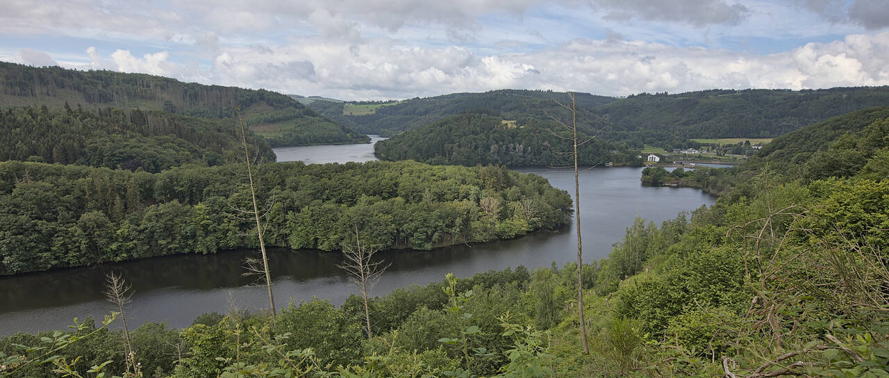 2024-07-01-0055.jpg