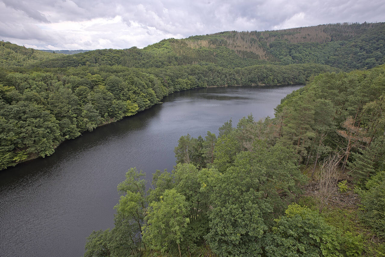 2024-07-01-0060.jpg