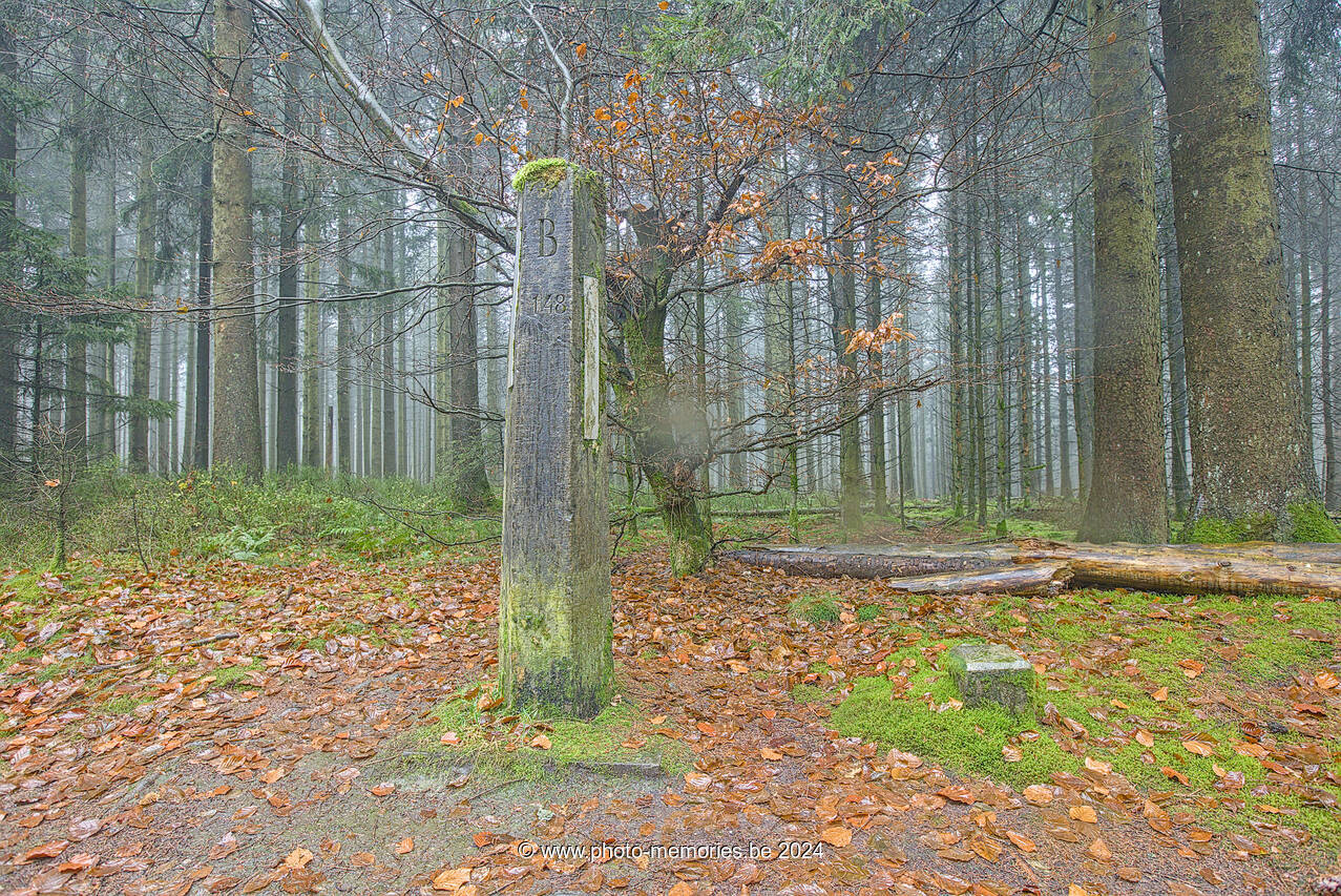 2024-11-11-0066.jpg