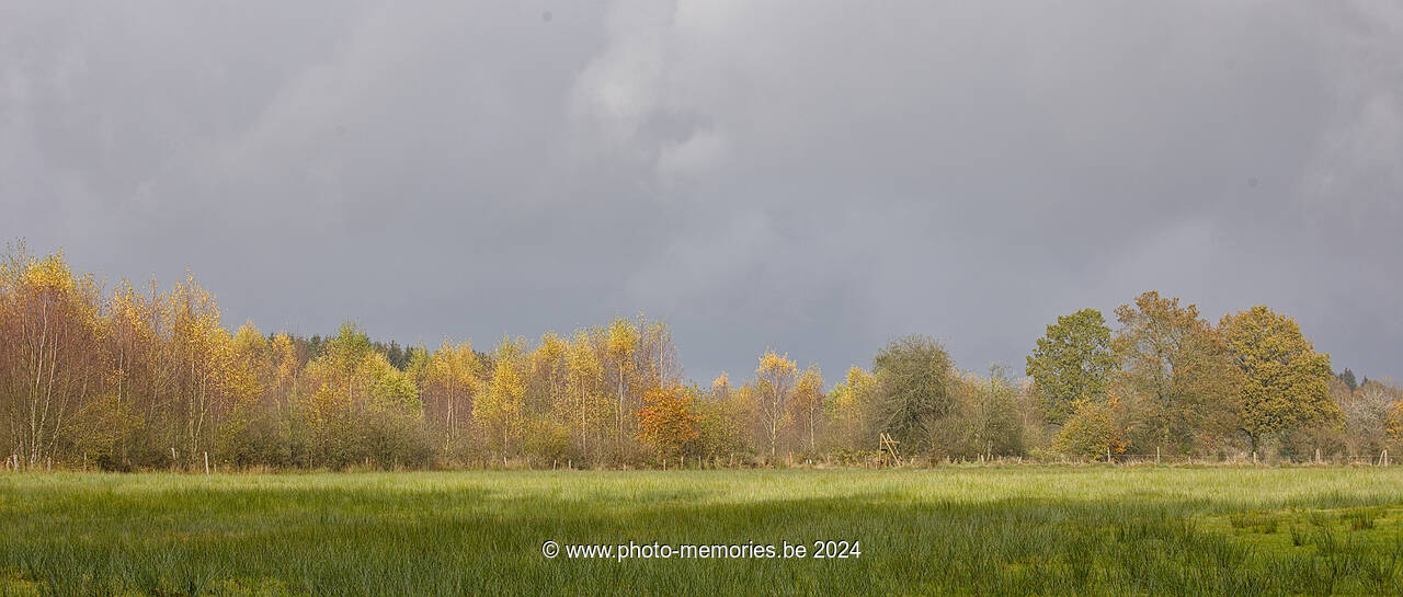 2024-11-11-0074.jpg
