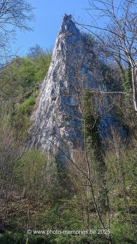 2025-04-12-0005.jpg