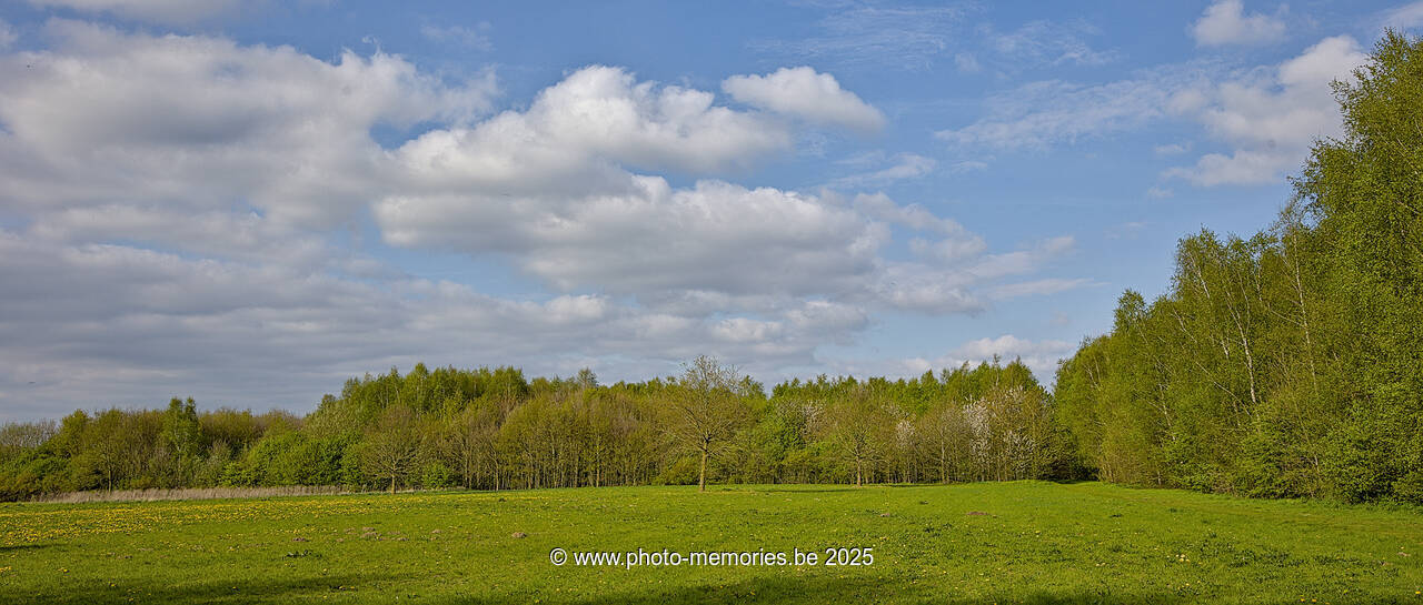 2025-04-13-0013.jpg