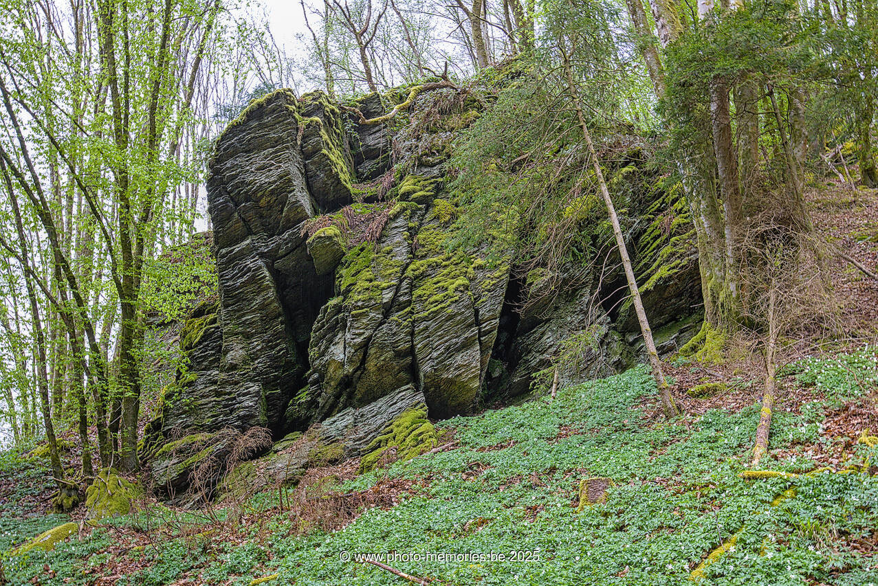 2025-04-20-0014.jpg