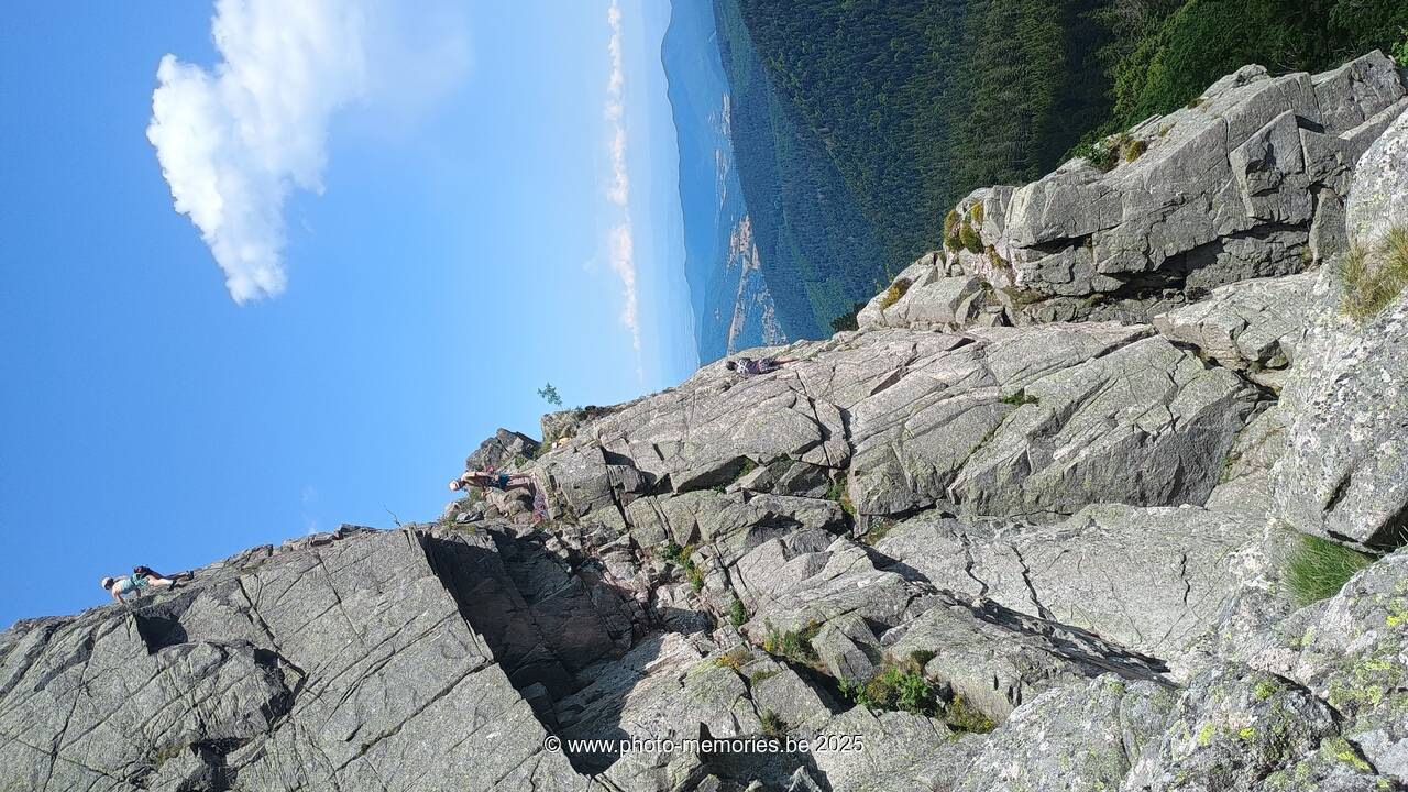 2025-05-31-0047.jpg