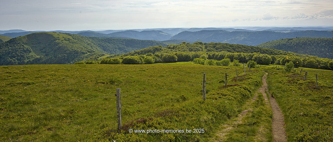 2025-05-31-0049.jpg