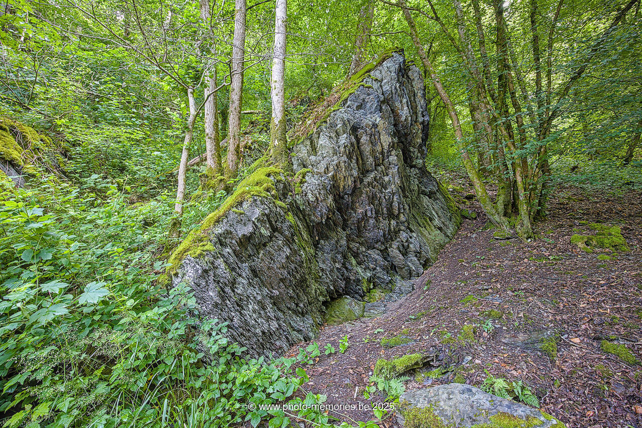 2025-06-08-0024.jpg