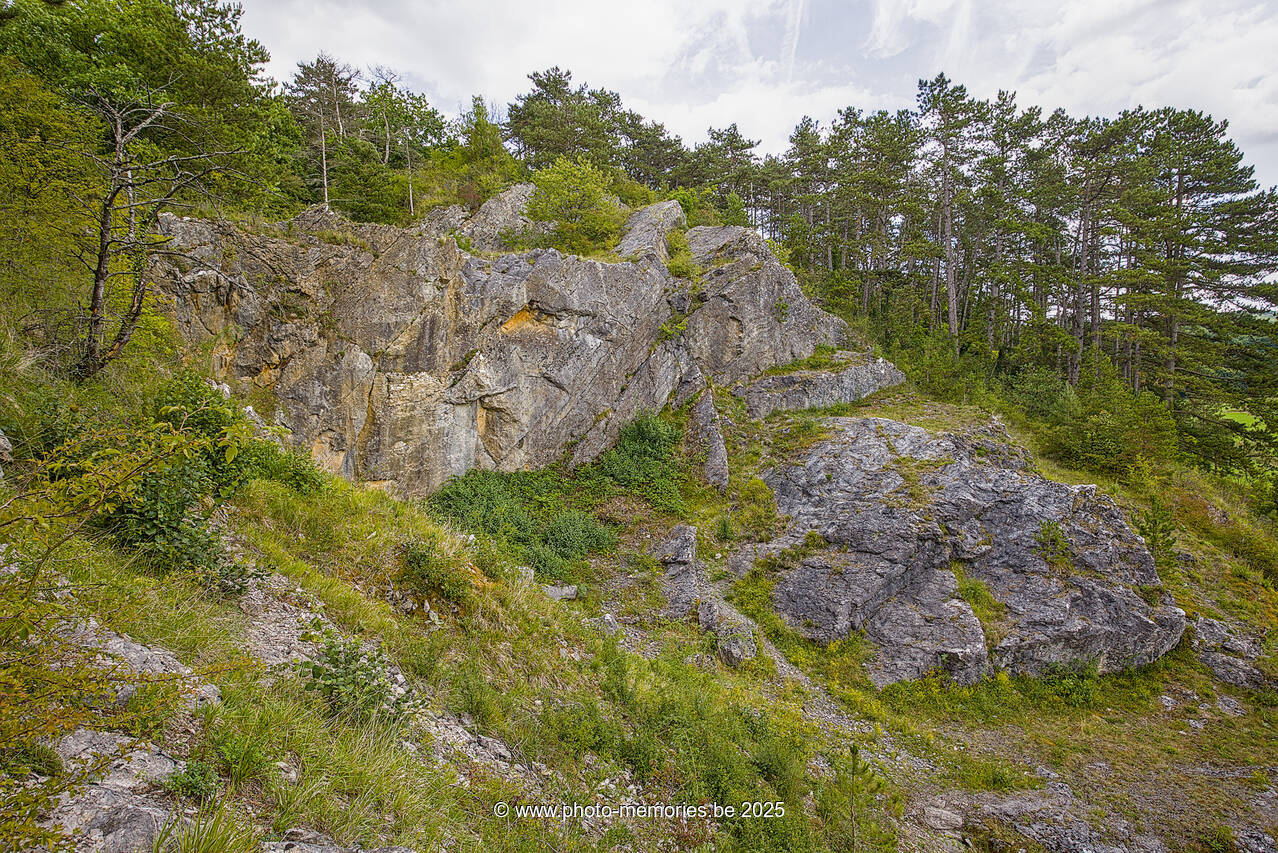 2025-08-03-0036.jpg