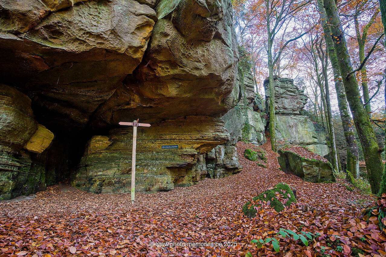 2025-11-09-0034.jpg