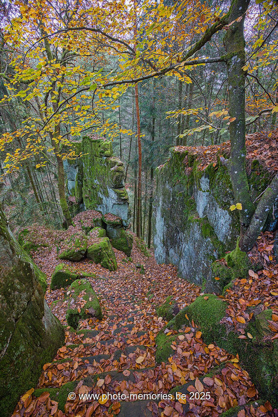 2025-11-09-0041.jpg