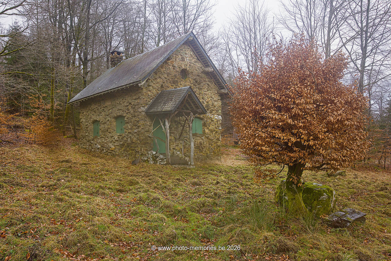 2026-02-21-0036.jpg