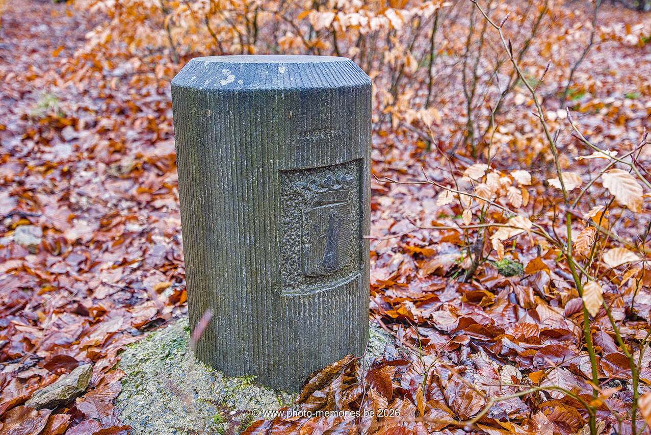 2026-02-22-0044.jpg
