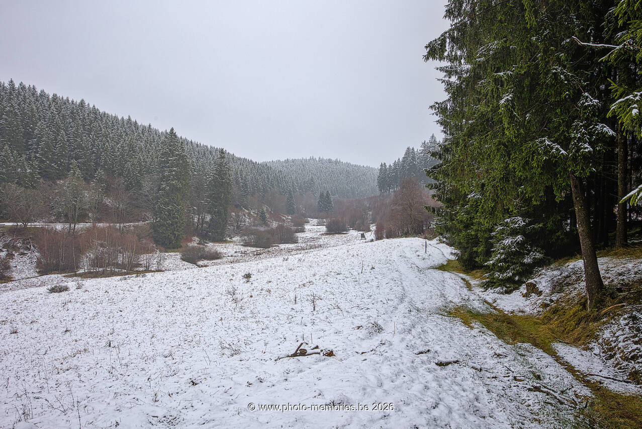 2026-03-14-0007.jpg