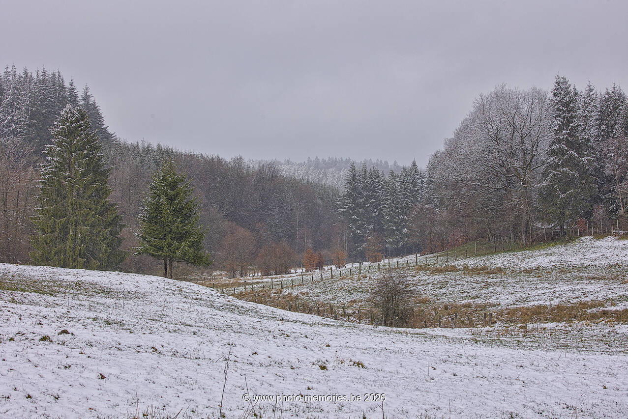 2026-03-14-0025.jpg