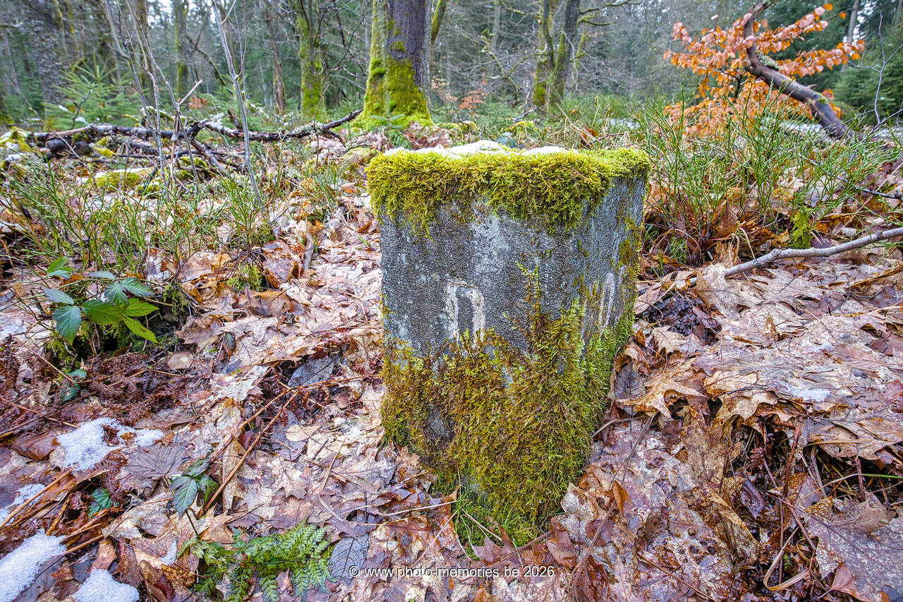 2026-03-15-0041.jpg