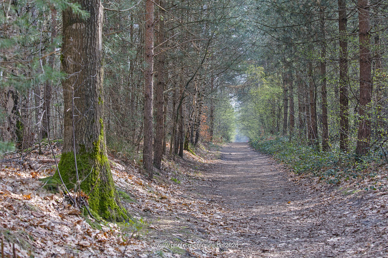 2026-03-23-0022.jpg