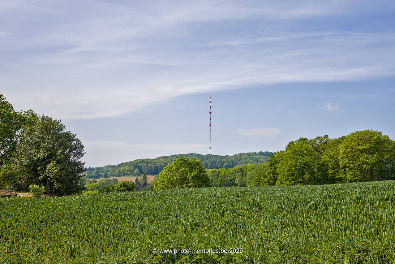 2026-05-02-0041.jpg