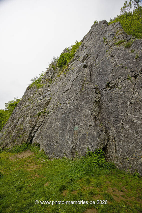 2026-05-17-0054.jpg