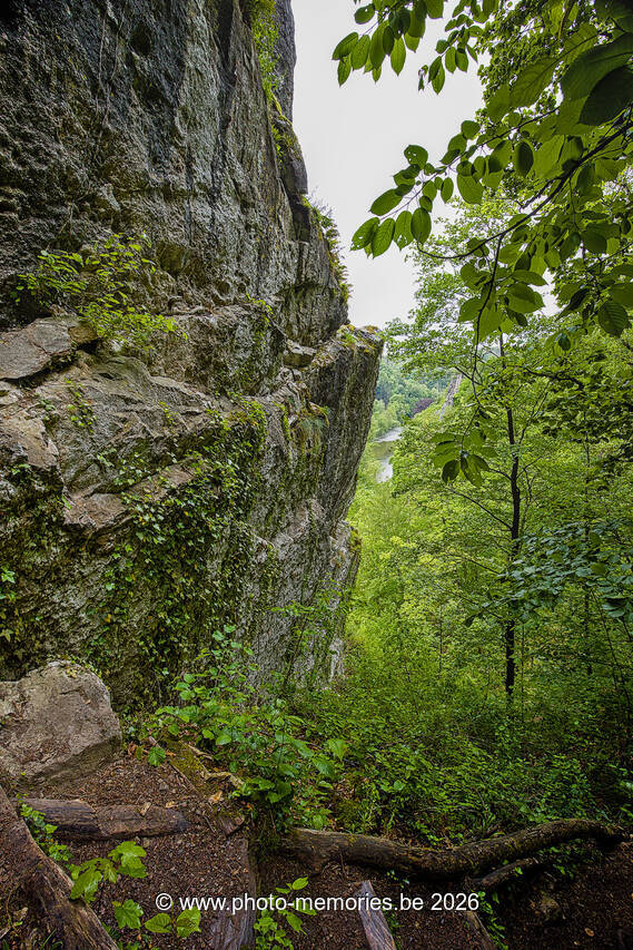 2026-05-17-0055.jpg