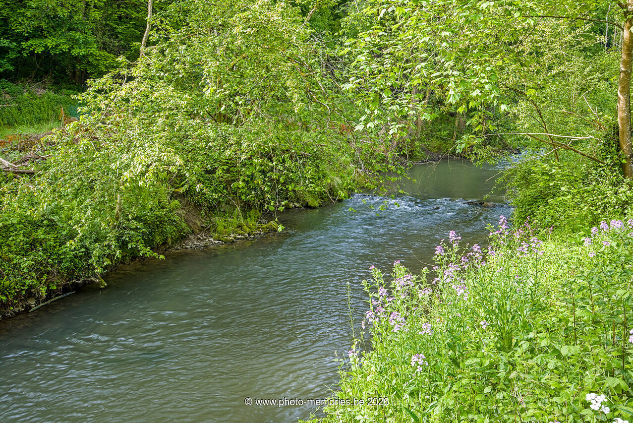 2026-05-23-0008.jpg