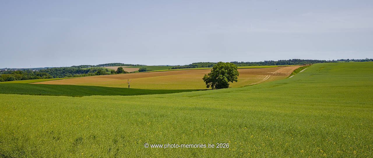 2026-05-23-0033.jpg