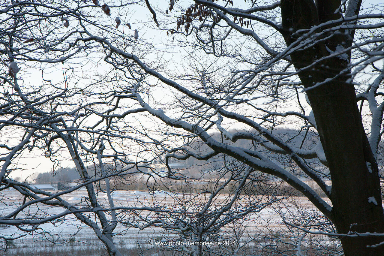 2009-12-18-0015.jpg