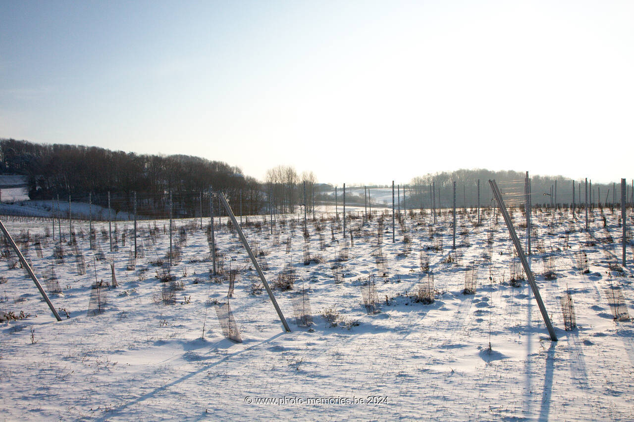 2009-12-18-0018.jpg