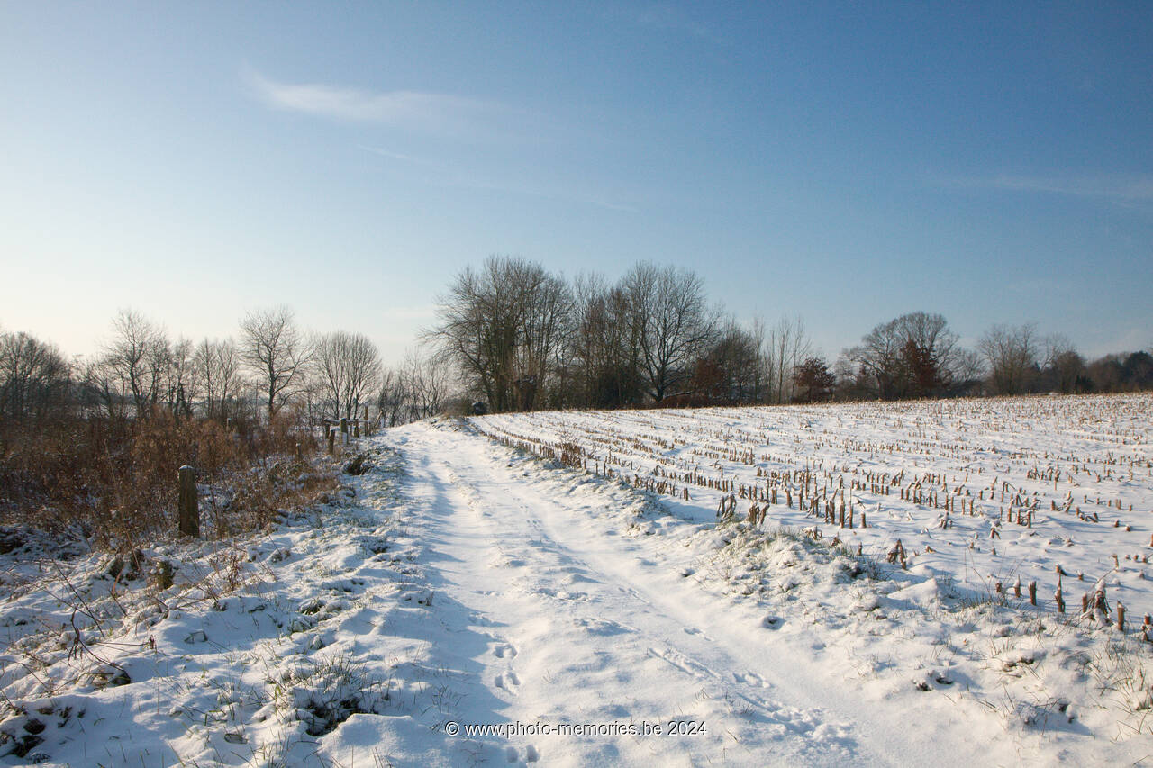 2009-12-18-0019.jpg