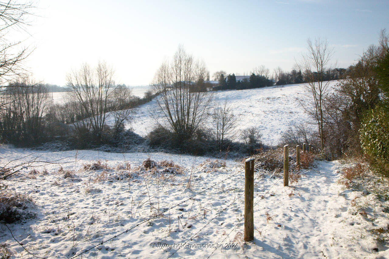 2009-12-18-0021.jpg