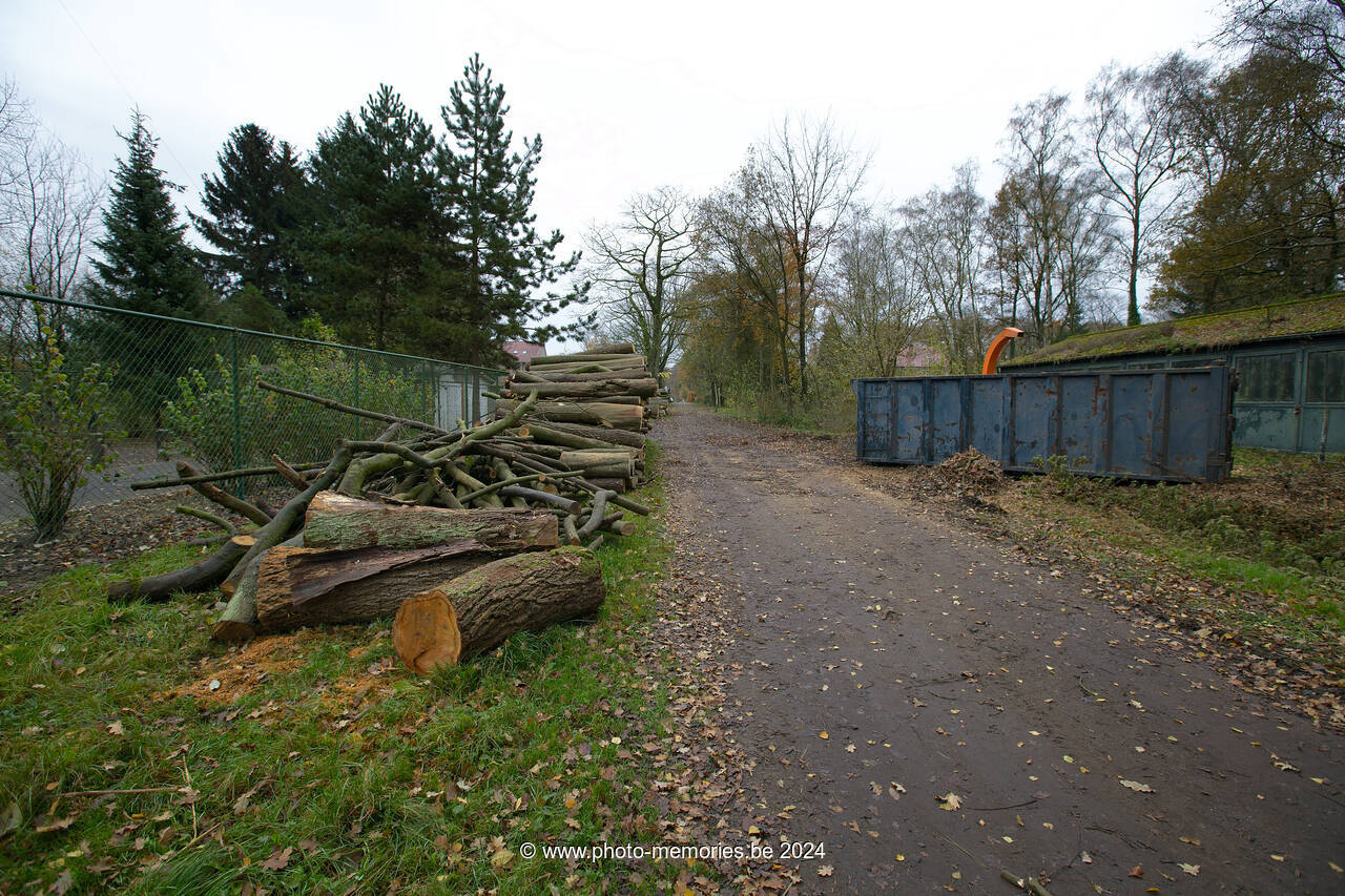 2011-11-26-0001.jpg