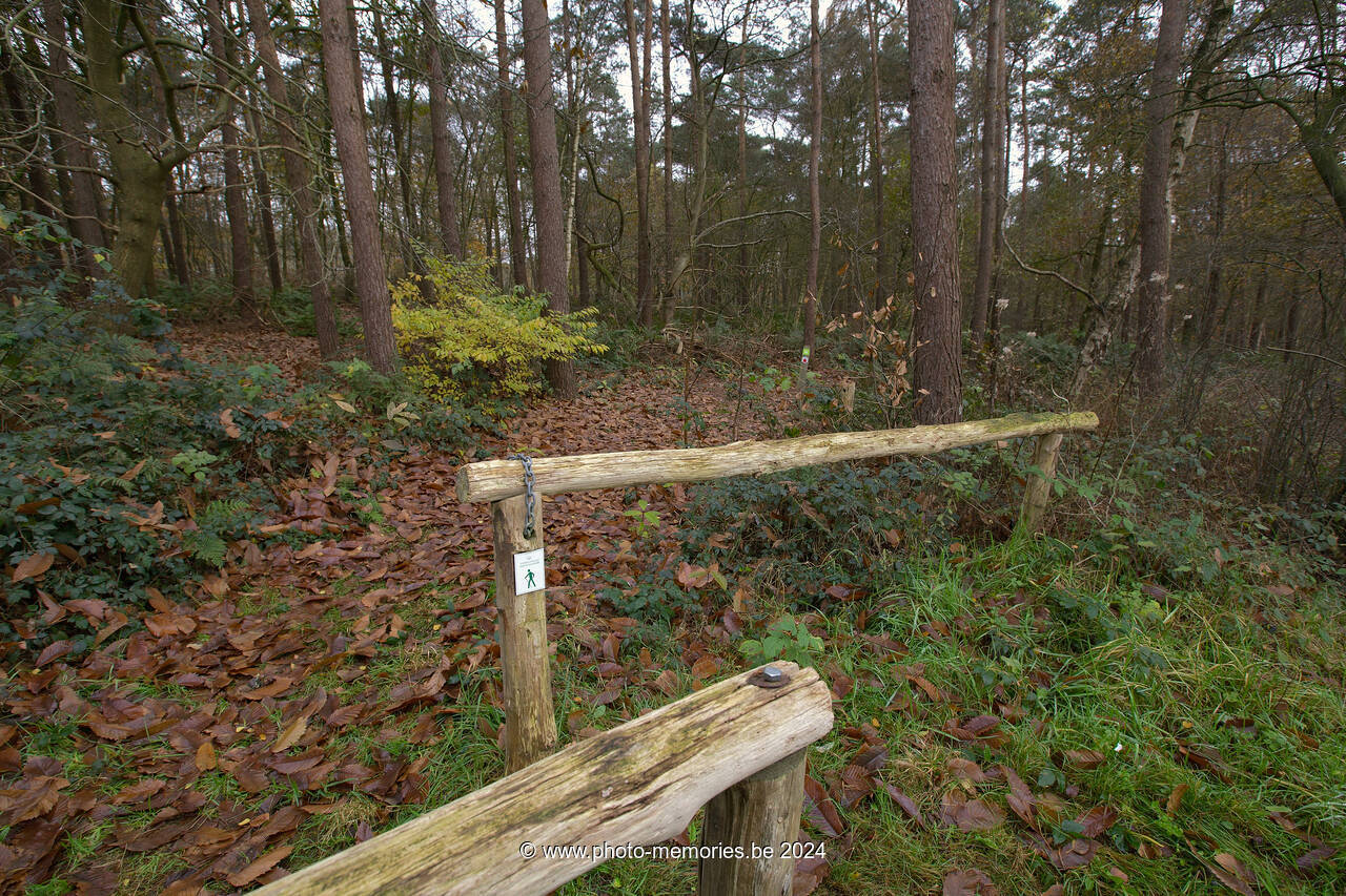 2011-11-26-0004.jpg