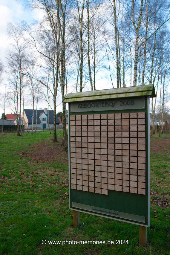 2012-01-08-0004.jpg