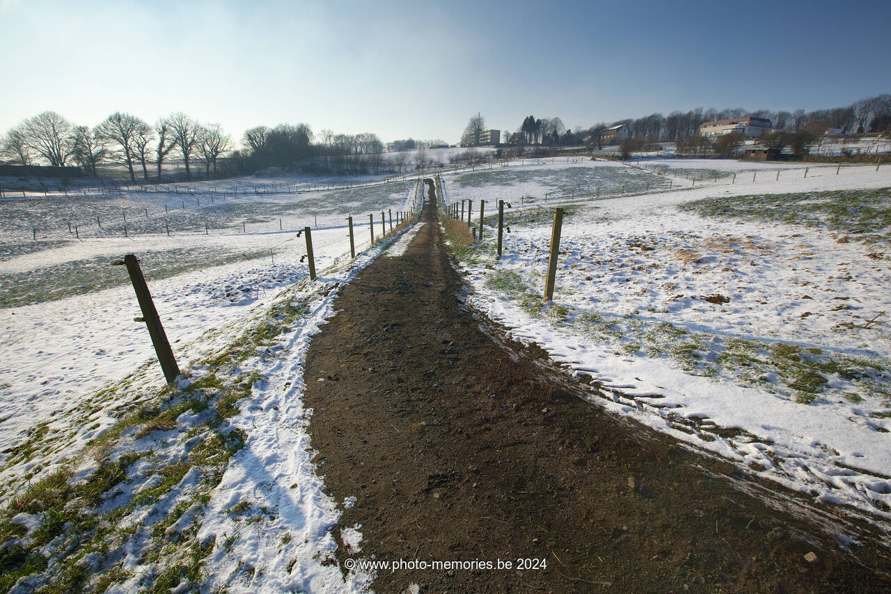 2012-02-04-0049.jpg