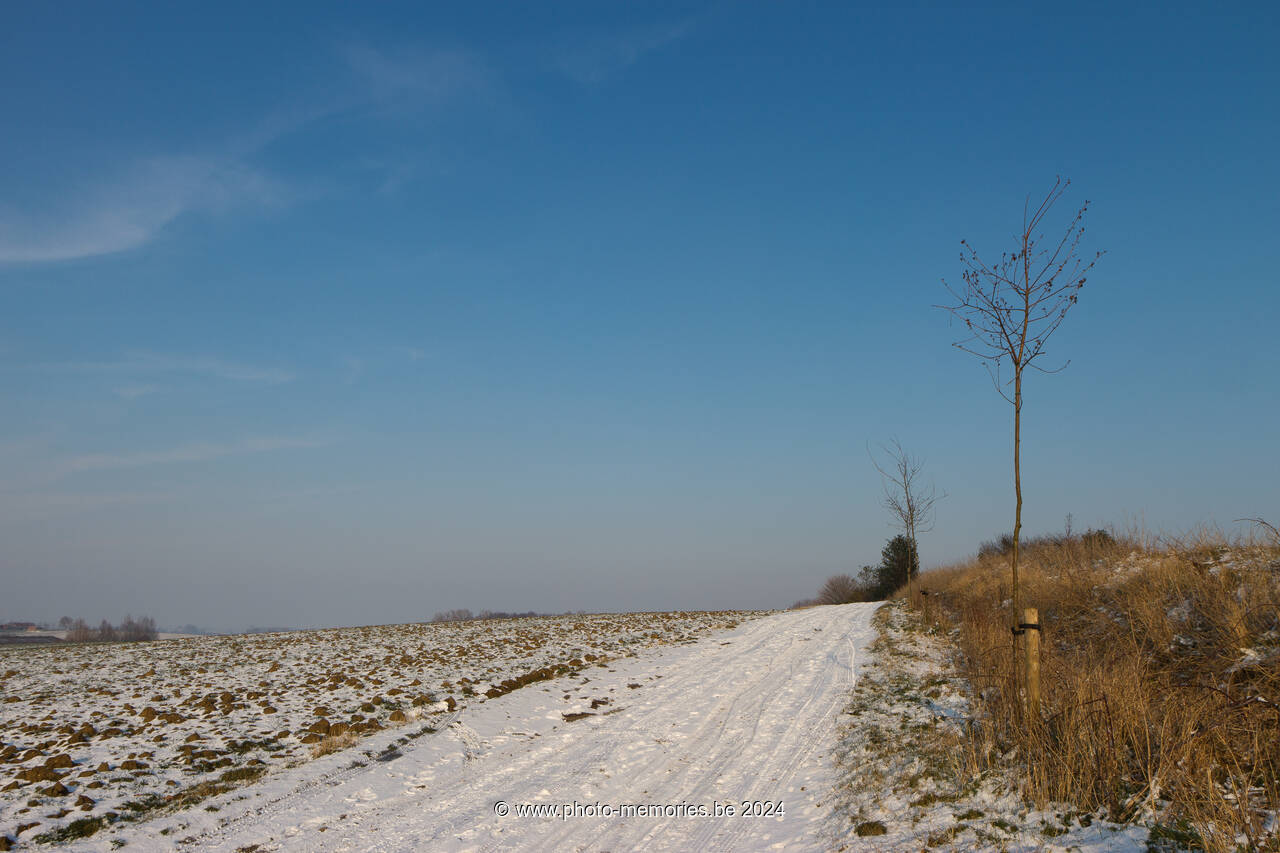 2012-02-04-0056.jpg