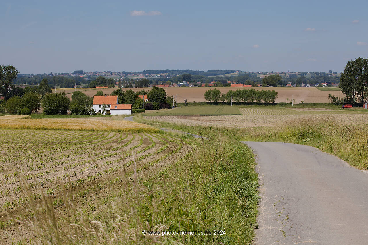 2012-06-14-0079.jpg