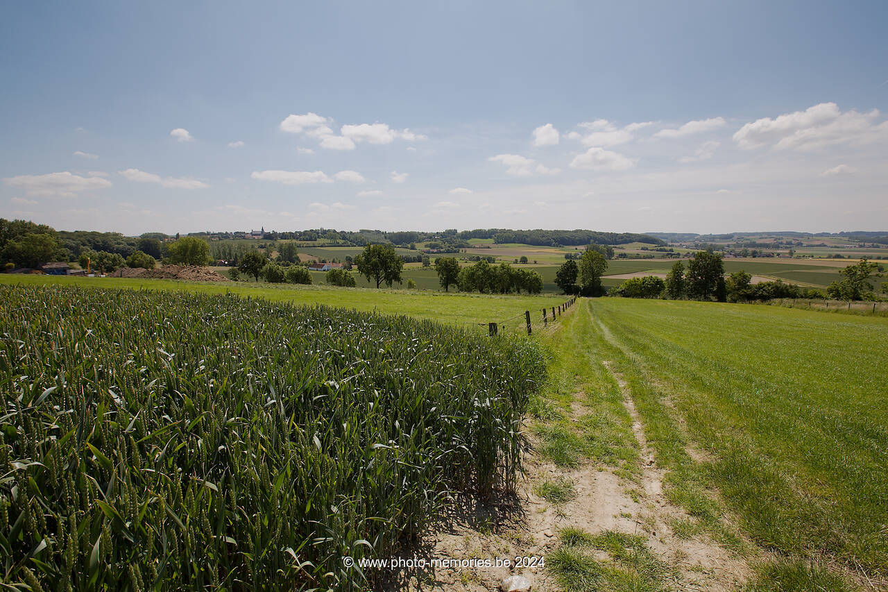2012-06-14-0080.jpg