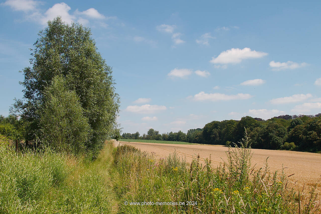 2012-07-22-0095.jpg