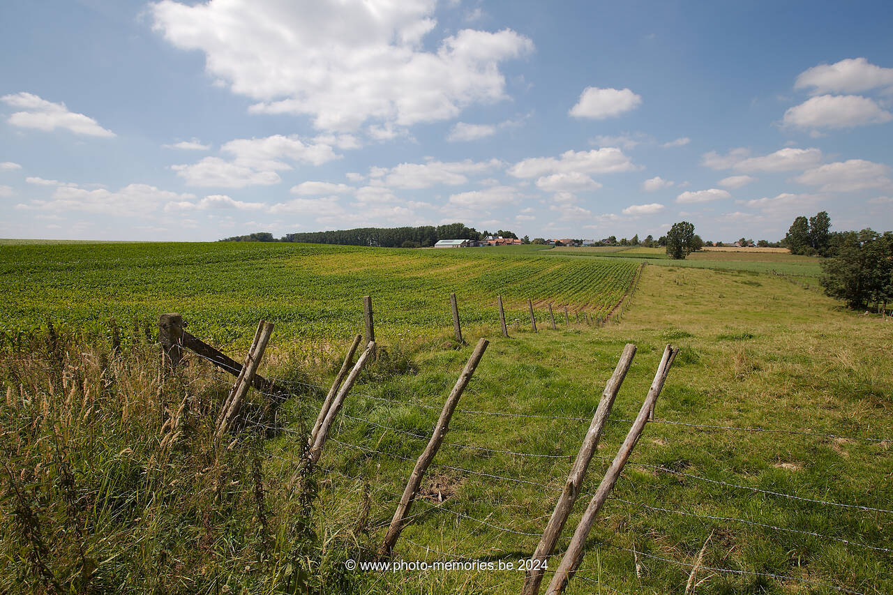 2012-07-22-0104.jpg