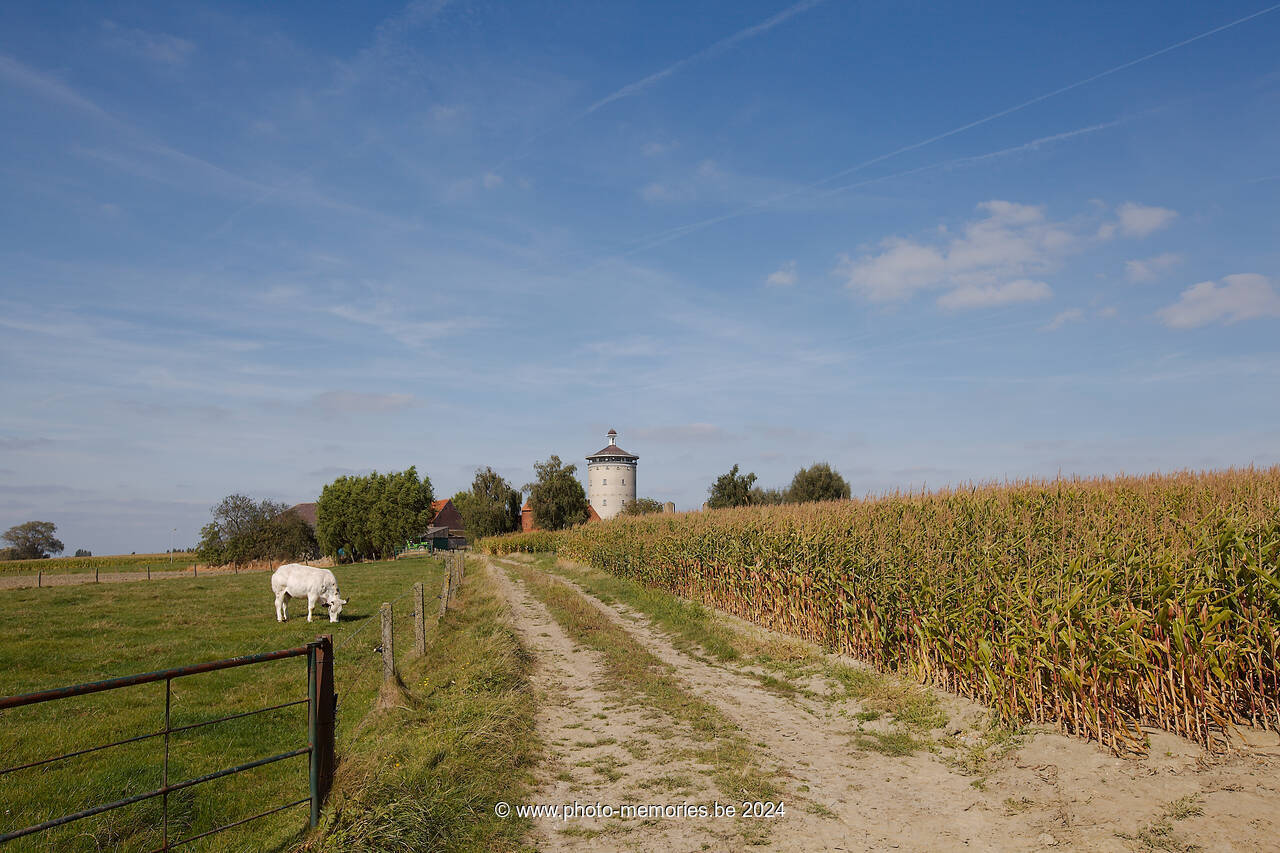 2012-09-30-0010.jpg