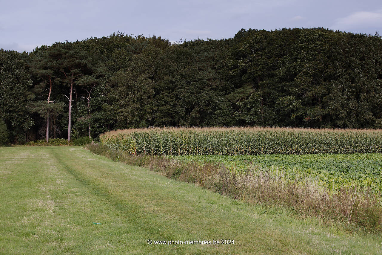 2012-10-01-0040.jpg