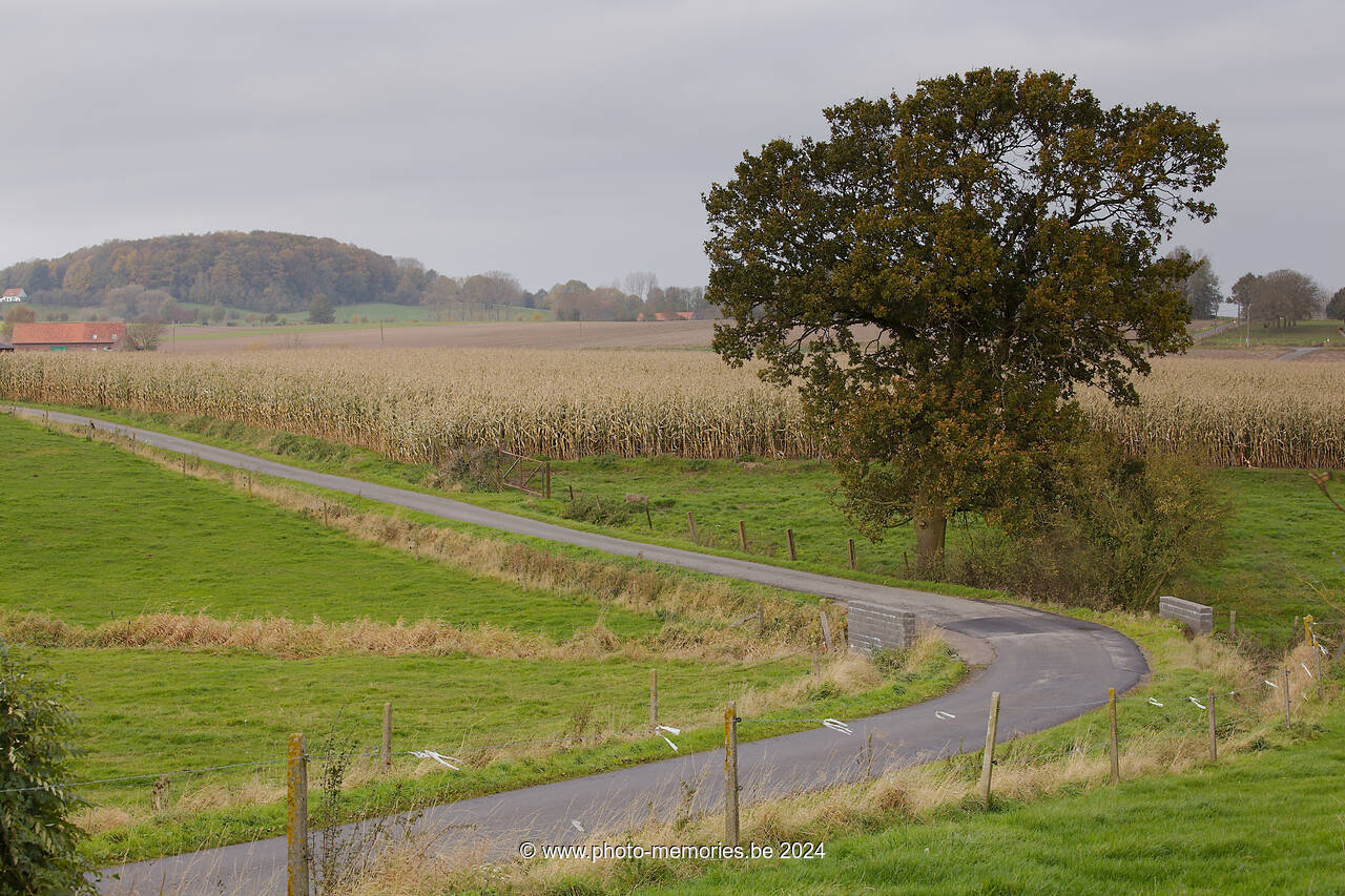 2012-11-07-0096.jpg